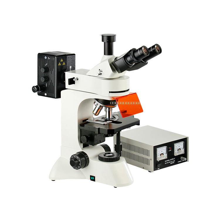 落射熒光顯微鏡圖片