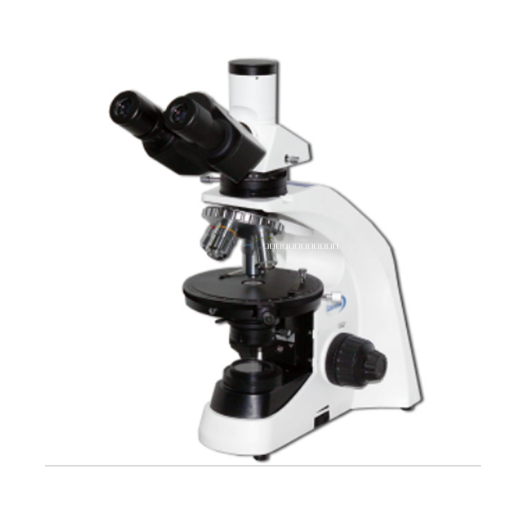 偏光顯微鏡圖片