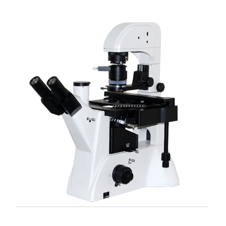 倒置生物顯微鏡